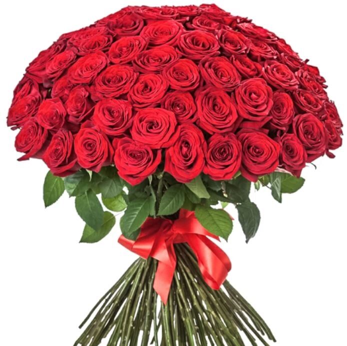 101 Luxury Red Roses