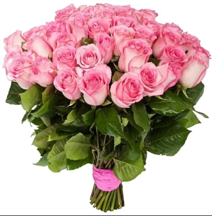 39 Luxury Pink Roses