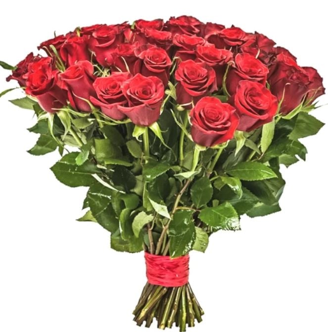 51 Red Roses