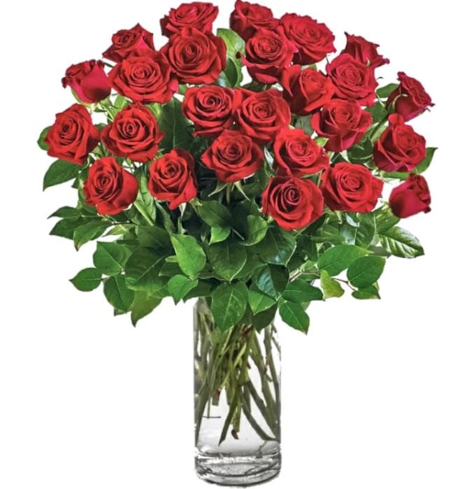 25 Luxury Red Roses