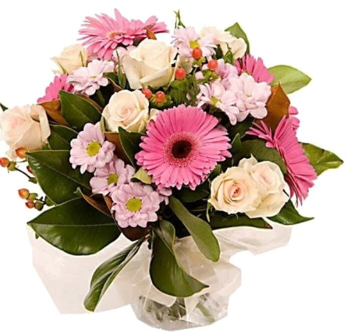 7 Pink Roses Pure Mix