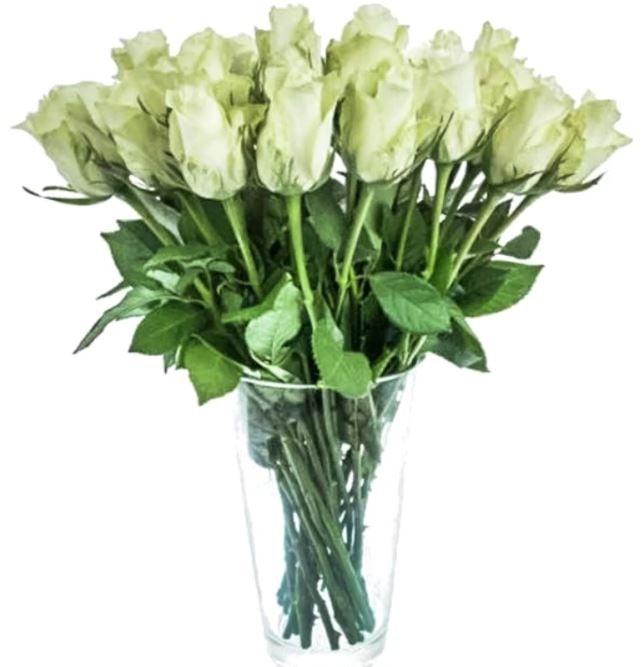 15 White Roses