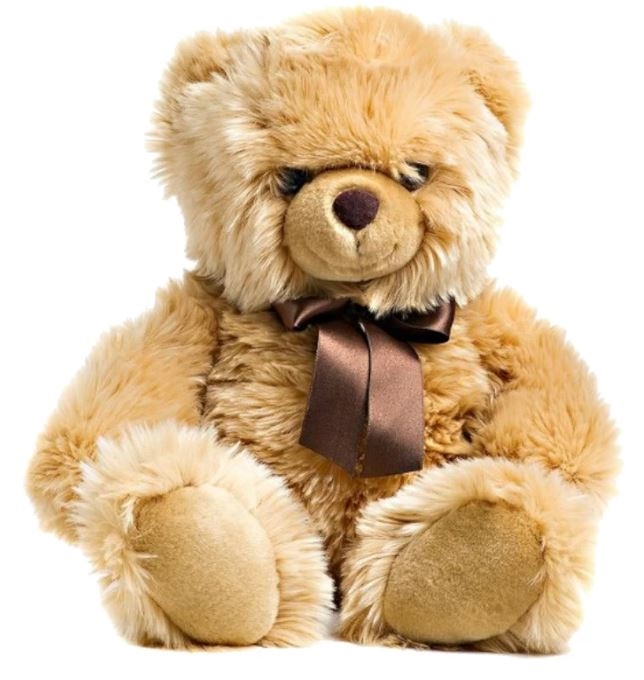 Cuddly Bear