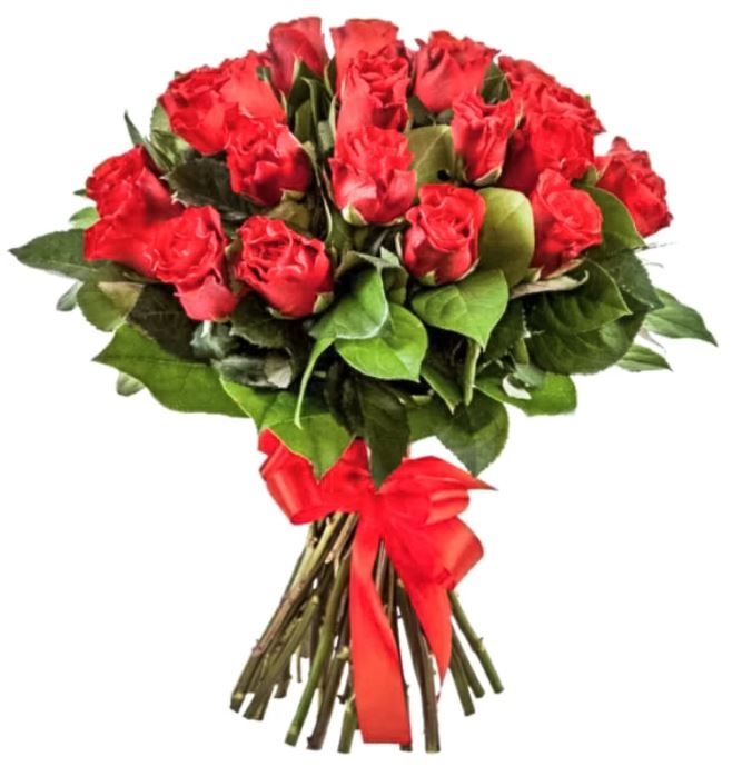 15 Red Roses