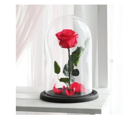 Eternal Red Rose