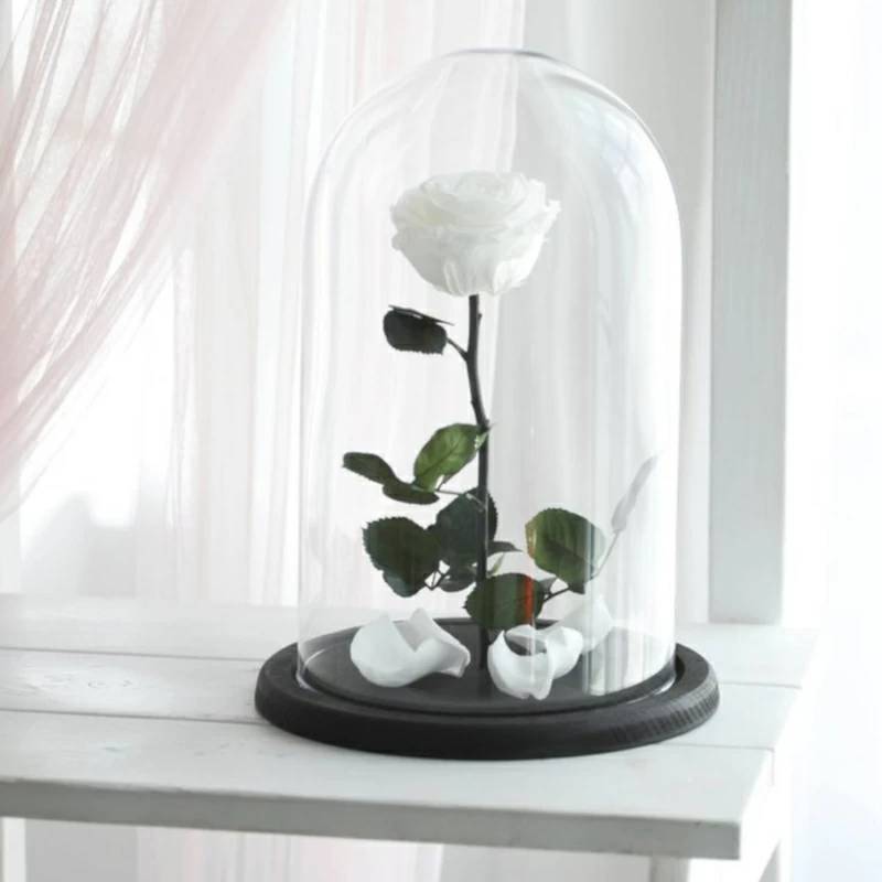 Eternal White Rose (Regular)