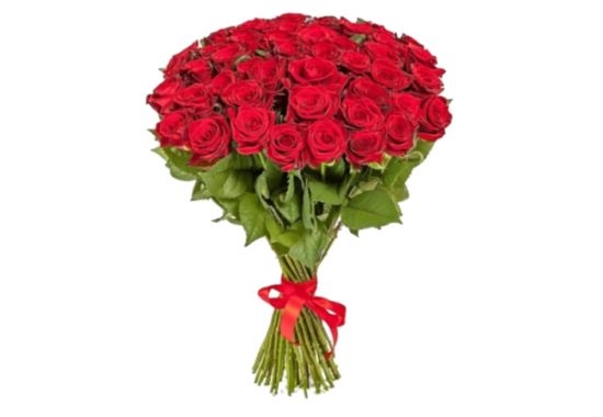 35 Red Roses