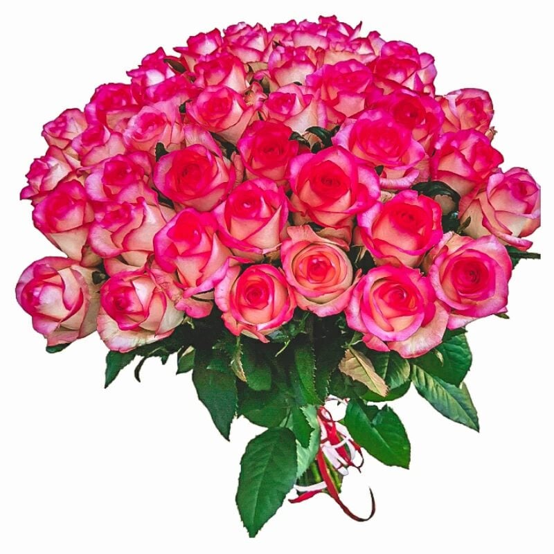 35 Pink Roses