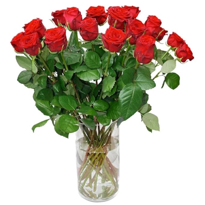 17 Red Roses