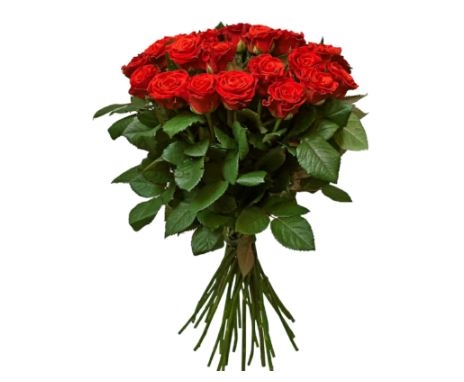 31 Red Roses