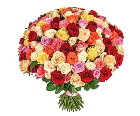 101 Mixed Roses