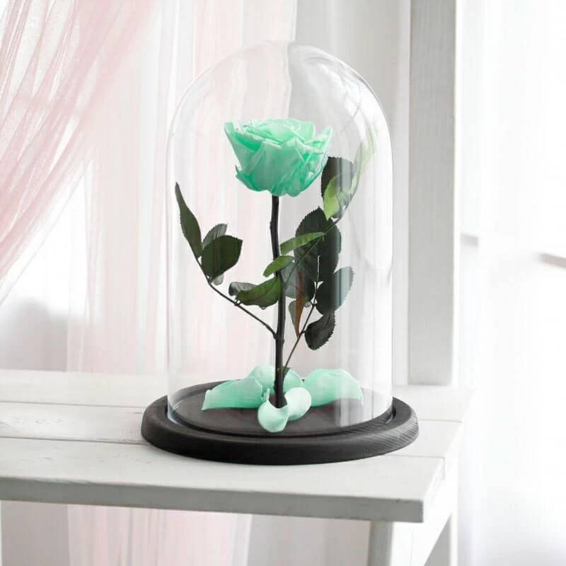 Eternal Mint Rose (Regular)
