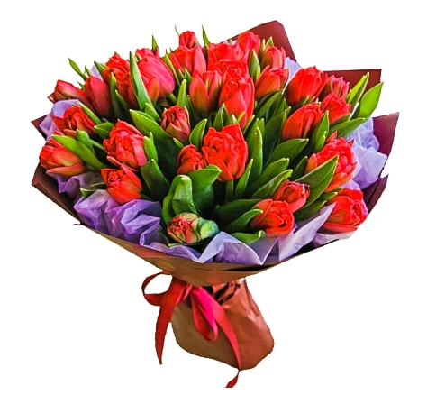 35 Red Tulips (Regular)