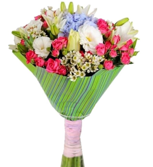 Spring Spray