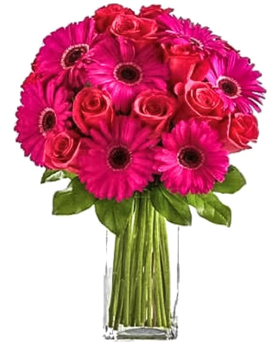 Bright Deep Red