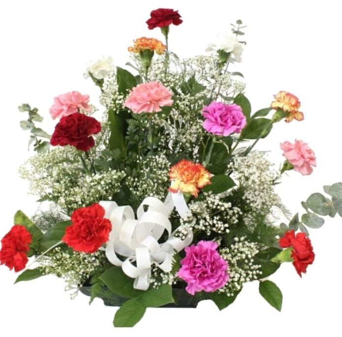 Carnations Assorted