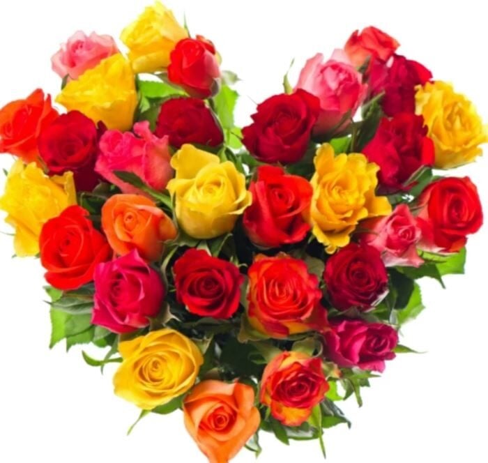 Bright Roses Heart