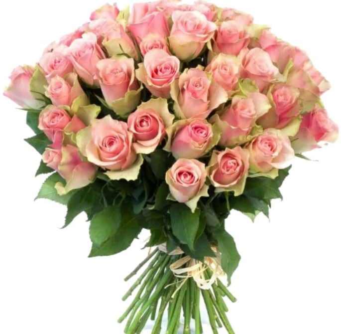 29 Pink Roses