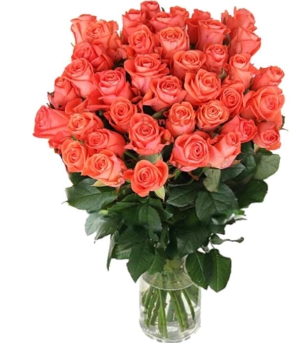 39 Coral Roses
