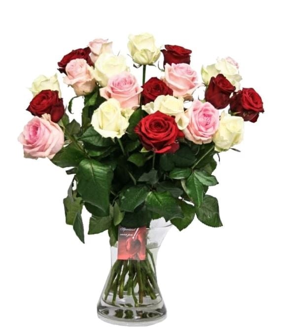 21 Mix Color Roses