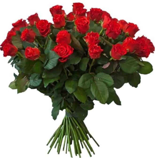 39 Red Roses