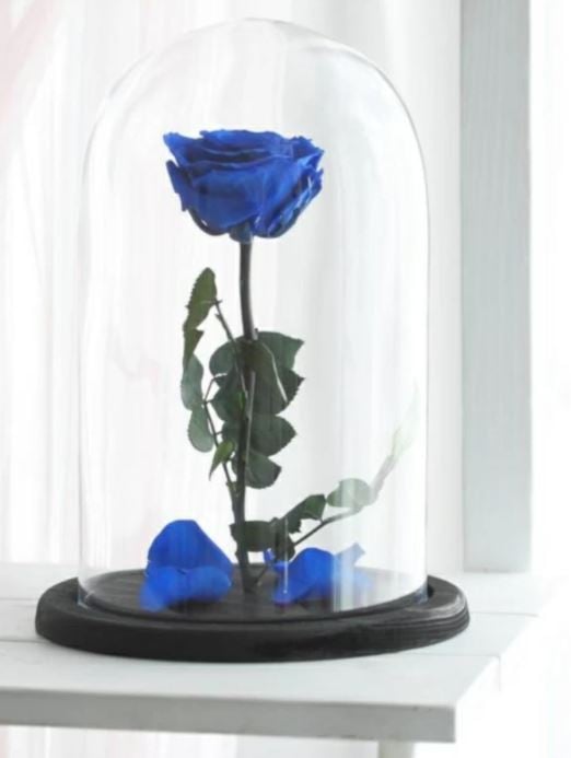Eternal Blue Rose