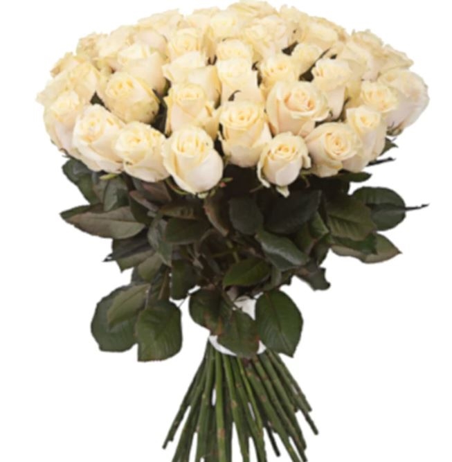 35 White Roses