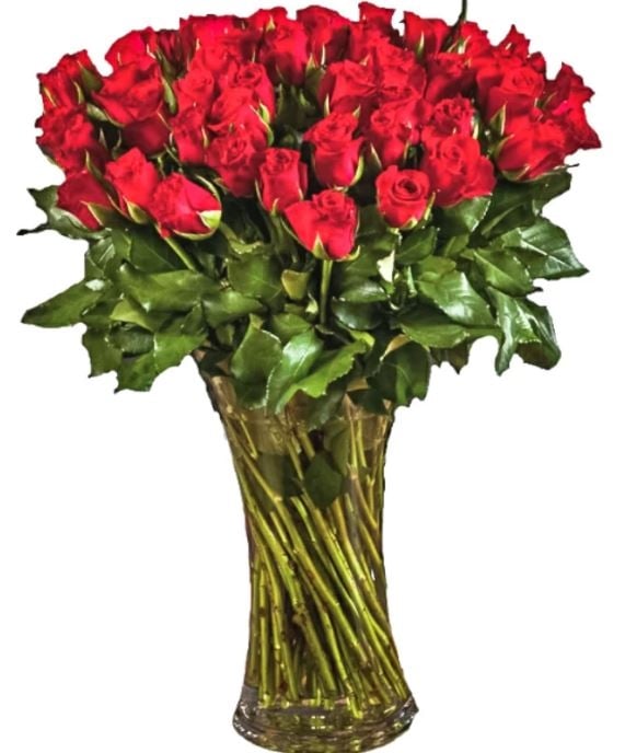 45 Red Roses