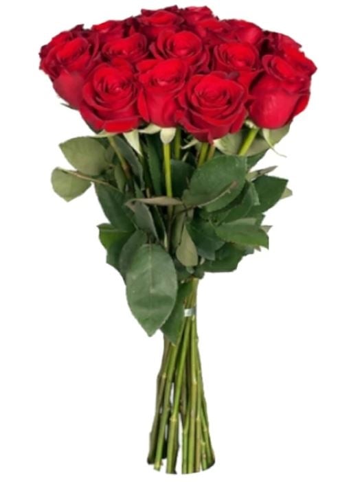 15 Luxury Red Roses
