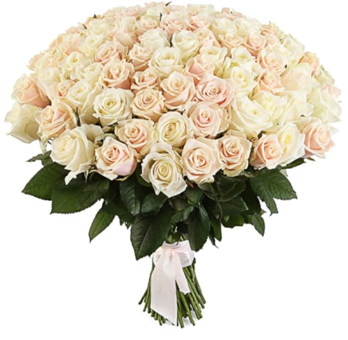 101 Pink Roses