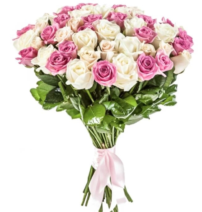 51 Pink White Roses