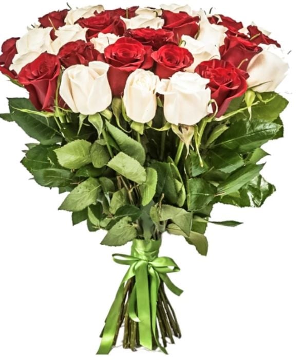 35 Red White Roses