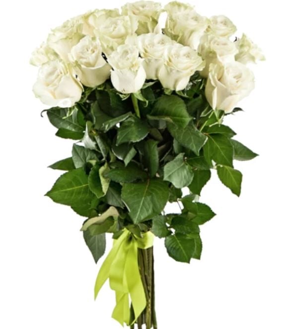 17 Luxury White Roses