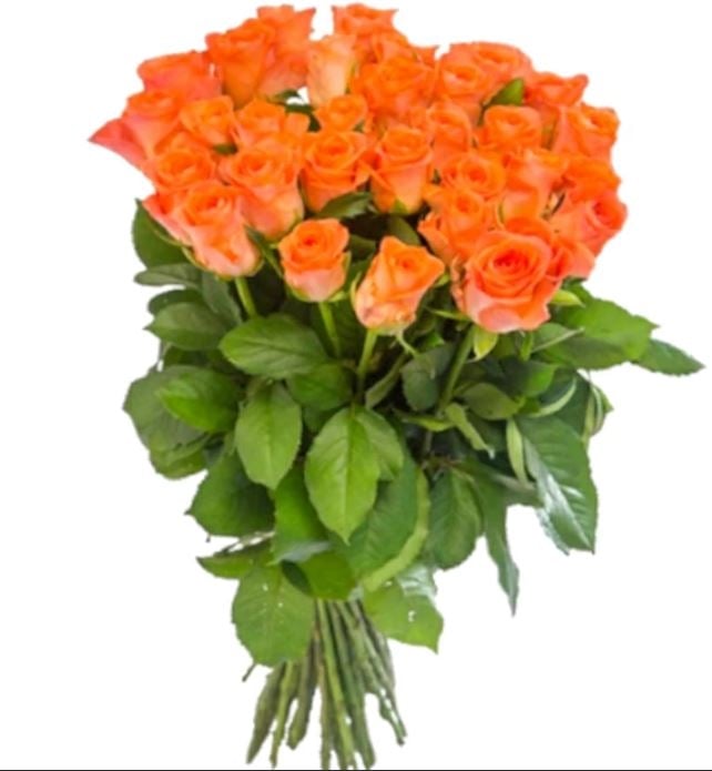 29 Coral Roses