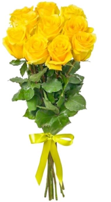 9 Yellow Roses