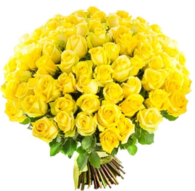 51 Yellow Roses