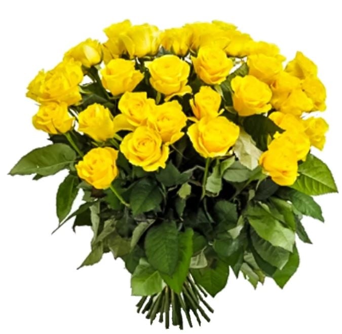 35 Yellow Roses