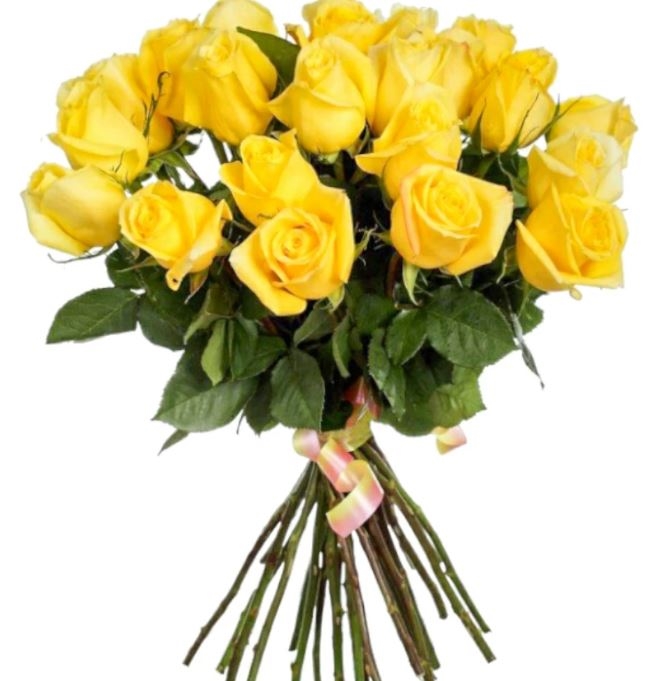 21 Yellow Roses