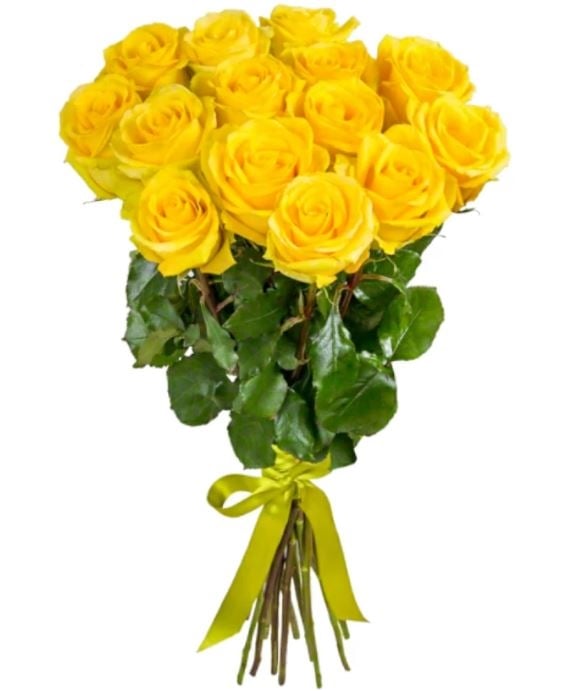 15 Yellow Roses