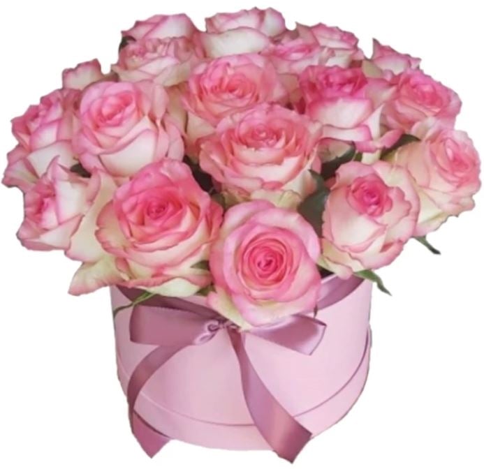 19 Pink Roses In Hatbox
