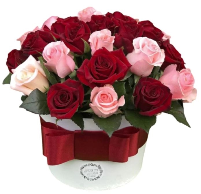23 Roses In Box