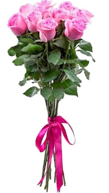 11 Luxury Pink Roses