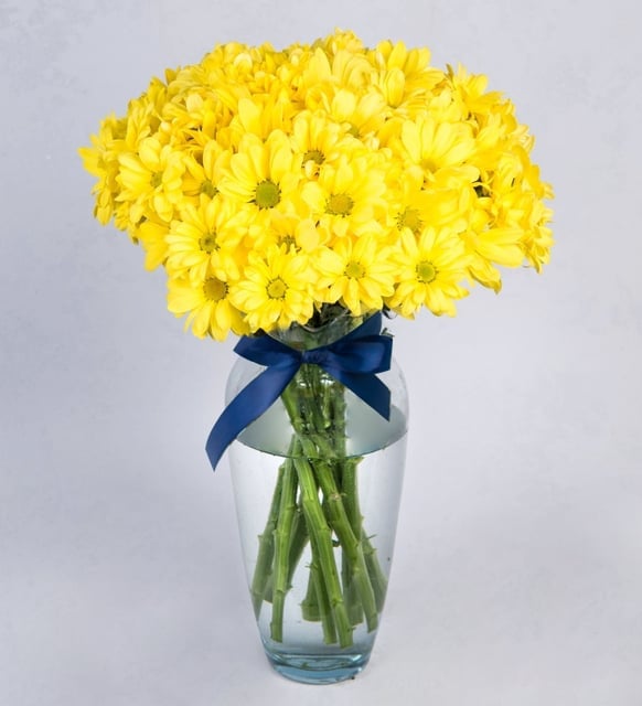 Arrangement of Yellow Daisies