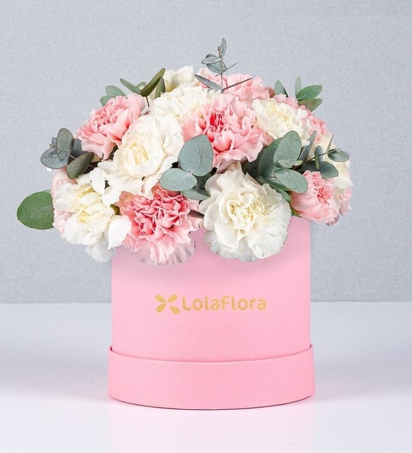 Pink Box of Combined Carnations
