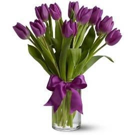 A Bright Personality (11 Tulips)