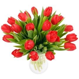 Bright Red Tulips (15 Tulips)