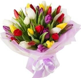 The Illusion Of 21 Colored Tulips