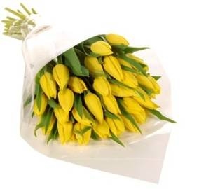 Bouquet of Yellow Tulips (25 Tulips)