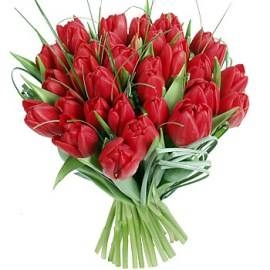 Regal Bouquet of Red Tulips (31 Tulips)