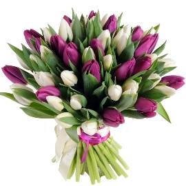 Cheerish Beauty (35 Tulips)